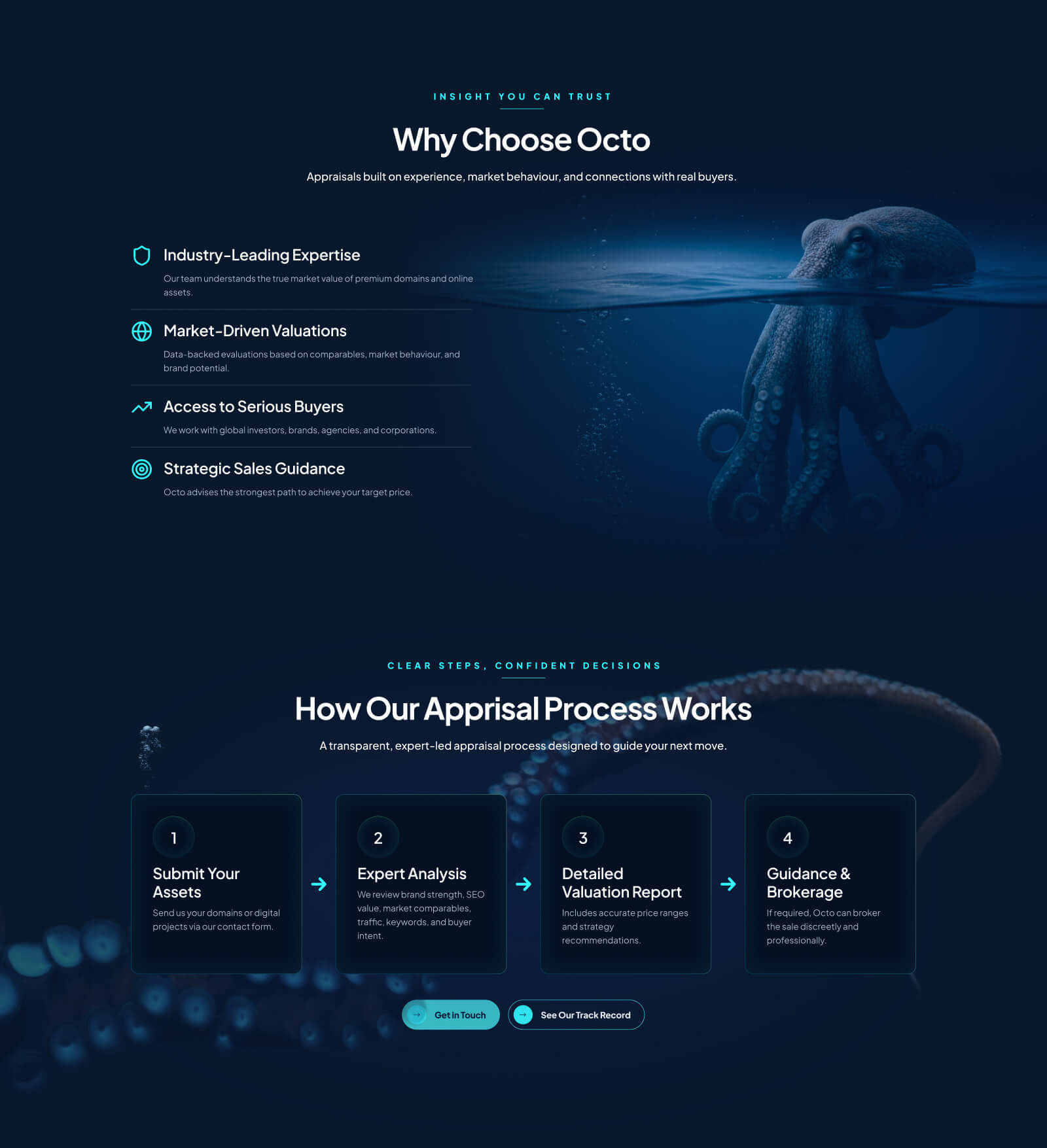 octo project media 4